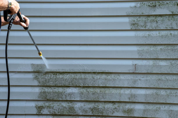 Same-Day Junk Removal Services in Vassar, MI