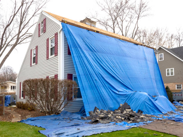Best Furniture Removal  in Vassar, MI