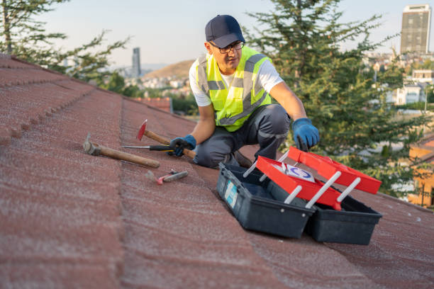 Best Demolition Debris Removal  in Vassar, MI