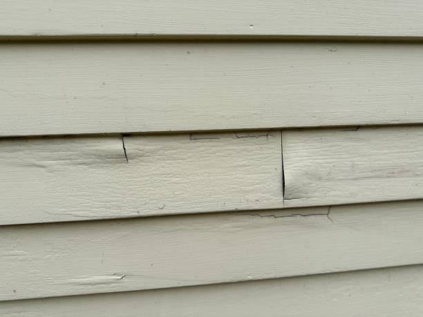 Best Hoarding Cleanup  in Vassar, MI